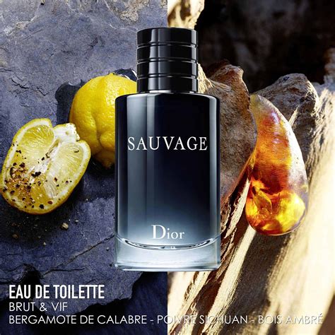 dior sauvabe note|dior eau de parfum.